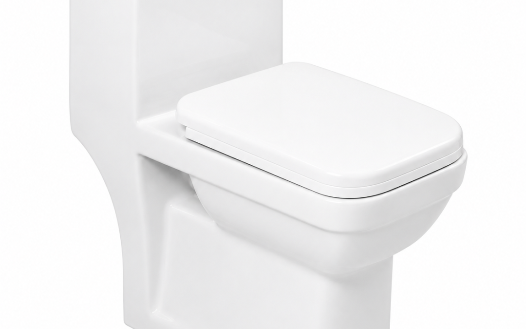 One Piece Toilet Set | ROB05