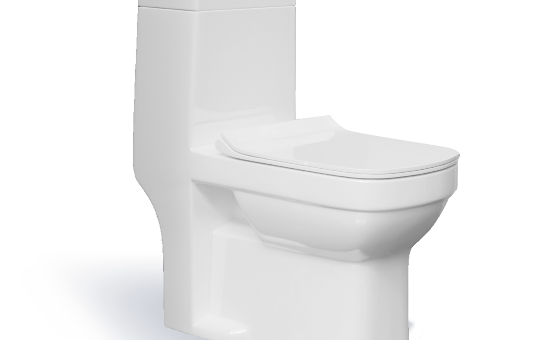 One Piece Toilet Set | ROB01