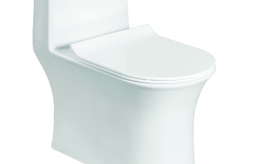 One Piece Toilet Set | ROP01
