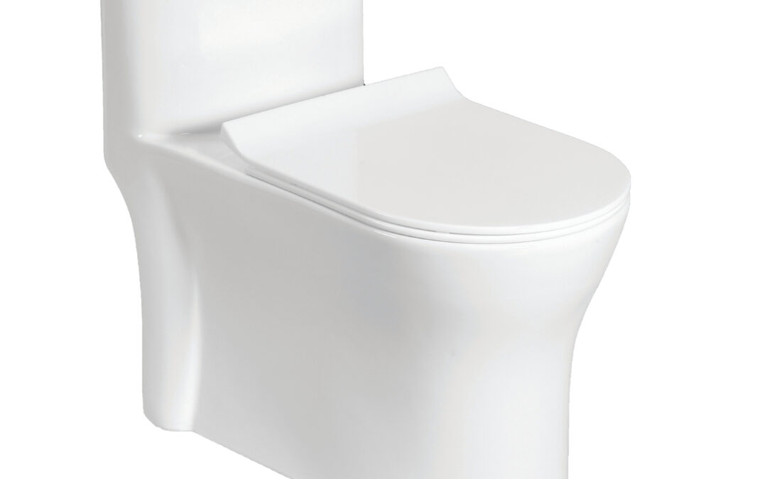 One Piece Toilet Set | ROP03